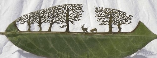 树叶激光雕刻样品图